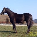 요동목장 이미지