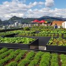 농업회사 토지인 이미지