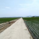 강문리 마을회관 이미지