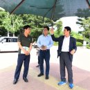 그늘막29 이미지