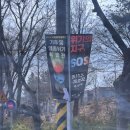 나는야 환경지킴이 | 과학관 <위기의 지구, SOS> 특별전에서 율이와 함께 지구 지키는 환경 지킴이 변신! (26년 3월 2일까지)