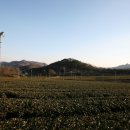 다원화학 이미지