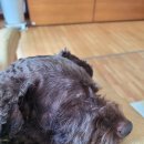 임마누엘피부과의원 이미지