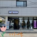 서우나무