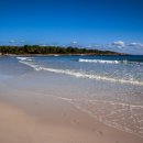 바닷가에서 이미지