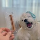 굿플러스덴탈 이미지