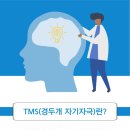 안양 TMS