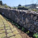 꼬맹스테이 이미지