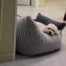 수강한의원 | [260315] 경주 대추밭백한의원 후기