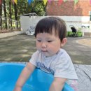 7월5주 자유놀이/실외활동 이미지