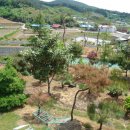 이색체험마을 이미지