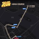 디자인그룹예감 | 🏃⭐ 비와 함께 달린 39분! 2026 KB스타런 10K 참가 후기, 그래도 즐거웠습니다