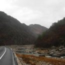 두메산골터줏대감 이미지