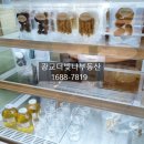 에스 클래스 동물병원 이미지