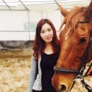 한솔승마장 이미지