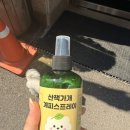 산책가개 | 진드기 걱정 없는 강아지 여름철 산책 필수템🐾산책가개 진드기노 계피스프레이 사용 후기
