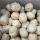 알뜰 농장 이미지