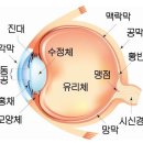 원주삼육중학교 이미지