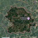 안계수퍼 | 루피시아 안계 [철관음] 직구,시음 후기!