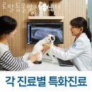 면목동-146 이미지