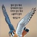 행복한아침 이미지