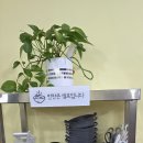 일등돈까스 | 대전 상대동 맛집 일등돈까스