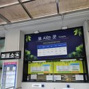 강천산군립공원(현수교) | 국내여행 순창 - 광주 드라이브 &#39;강천산 군립공원&#39; 맨발 산책, 현수교 출렁다리 등산코스 추천!
