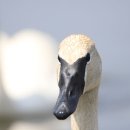 고니목장 이미지