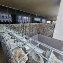 개비온호텔 이미지