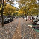 용천토리 오토캠핑장 이미지