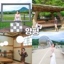 여주강변막국수 | 서울근교 당일치기 여행코스 양평 여주 가볼만한곳 베스트4