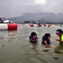 송호초등학교 이미지