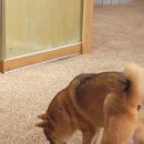 지에스(GS)25포항장성대로점 | 포항 구룡포 호텔701 | 디럭스마운틴뷰 추천 내돈내산 솔직 후기