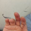 강남할아버지한의원 이미지