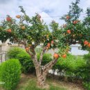 의송보건진료소 이미지