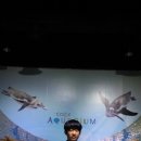 신선촌 이미지