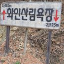 화인상사 Daum카페
