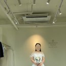 드지니디자인