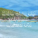 산호비치호텔 | 파타야 산호섬 투어 해양 액티비티 핫티엔비치 드론 촬영 내돈내산 후기