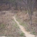 산성등산로1 이미지