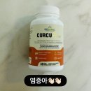 큐플 | 💛 붓기 때문에 시작했는데 다이어트 루틴까지 바뀐 리제넬 커큐플로 후기 ✨