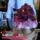 도래미시