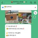 더드림청과야채
