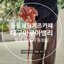 비어밸리 | 대구 동성로 아쿠아밸리 동물 실내 체험 방문꿀팁 내돈내산 후기