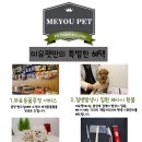 달보드레하다 이미지