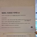 행신공원(농구장 옆) | [고양] 행신동 애견 동반 감성 있는 카페 행신 쏘머럽 somuchlove