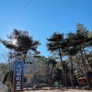 화악산 소나무 리조트 네이버블로그