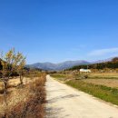 외산보건진료소 이미지