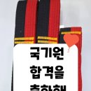 용인대 금메달 태권도장 이미지