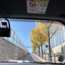 백옥대로1081번길 이미지